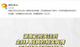 娱乐圈吃瓜动态视频大全,吃瓜视频大全，带你领略明星幕后故事